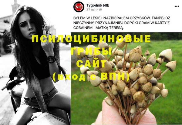 герыч Алексин