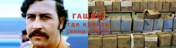 герыч Алексин