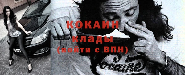 прущие грибы Осинники
