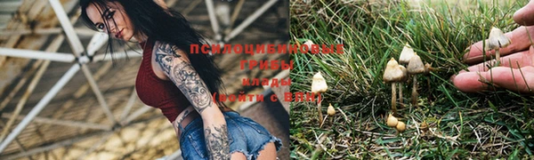 первитин Алексеевка