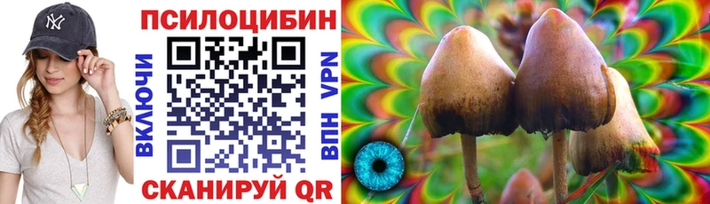 ОМГ ОМГ ссылка  Андреаполь  Псилоцибиновые грибы Psilocybine cubensis  купить наркотик 