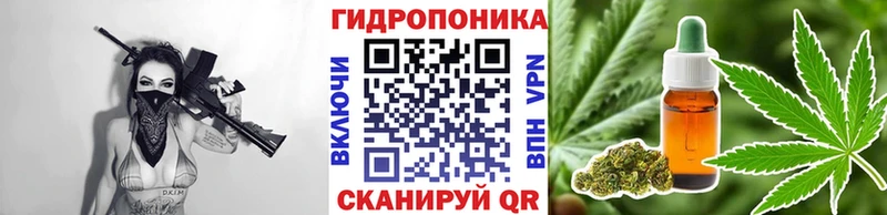 Каннабис OG Kush  даркнет как зайти  Андреаполь 